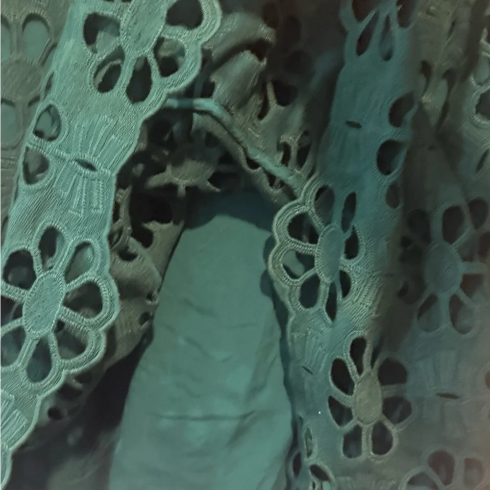 Tuckernuck Green Lace Pattern Dress with a lining - Picture 3 of 6